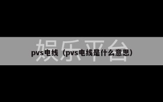 pvs电线（pvs电线是什么意思）