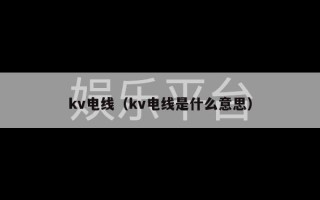 kv电线（kv电线是什么意思）