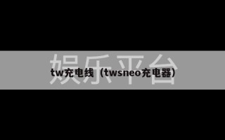 tw充电线（twsneo充电器）